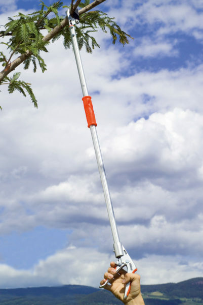 STOCKER 502 FORBICE DA POTATURA MANICO LUNGO ASTA FISSA 120cm TAGLIO BYPASS3
