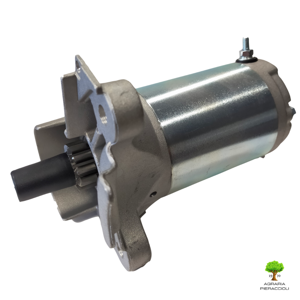 MOTORINO AVVIAMENTO COMPLETO ORIGINALE STIGA 118550214/0 ESTATE GGP GARDEN CG0