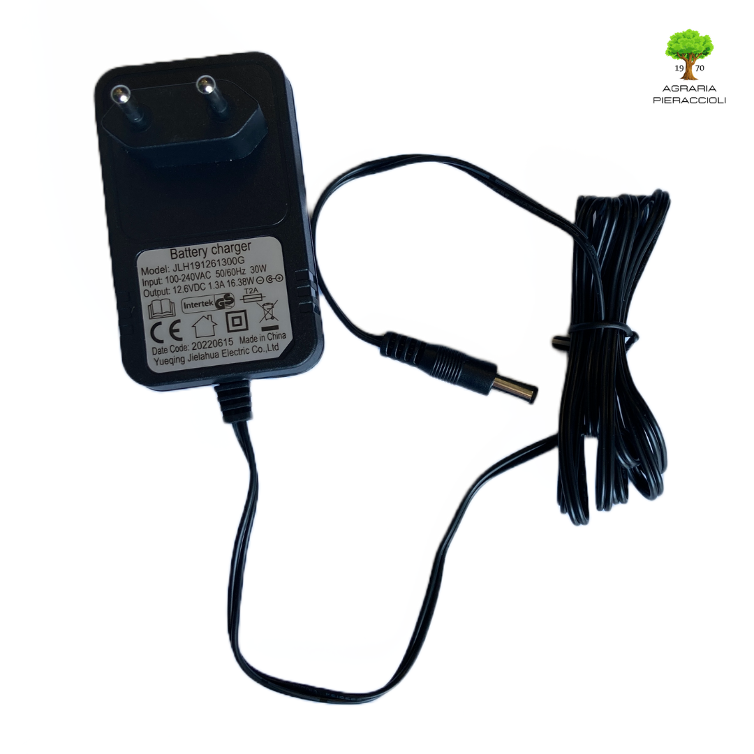 CARICABATTERIE PER TAGLIAERBA CON MOTORE LONCIN ST 170 LS 1P65FE AVV. ELETTRICO1