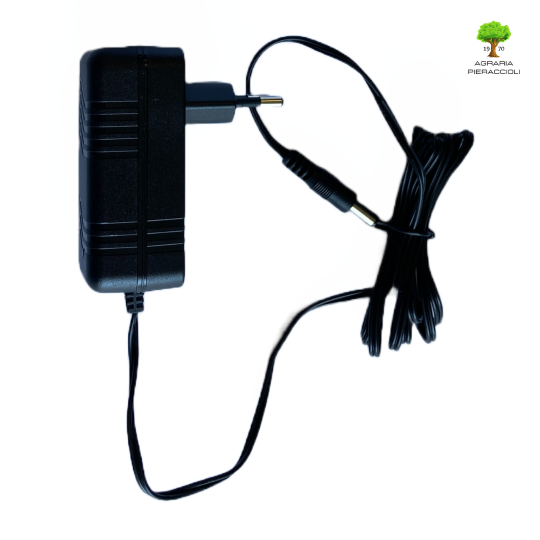 CARICABATTERIE PER TAGLIAERBA CON MOTORE LONCIN ST 170 LS 1P65FE AVV. ELETTRICO0