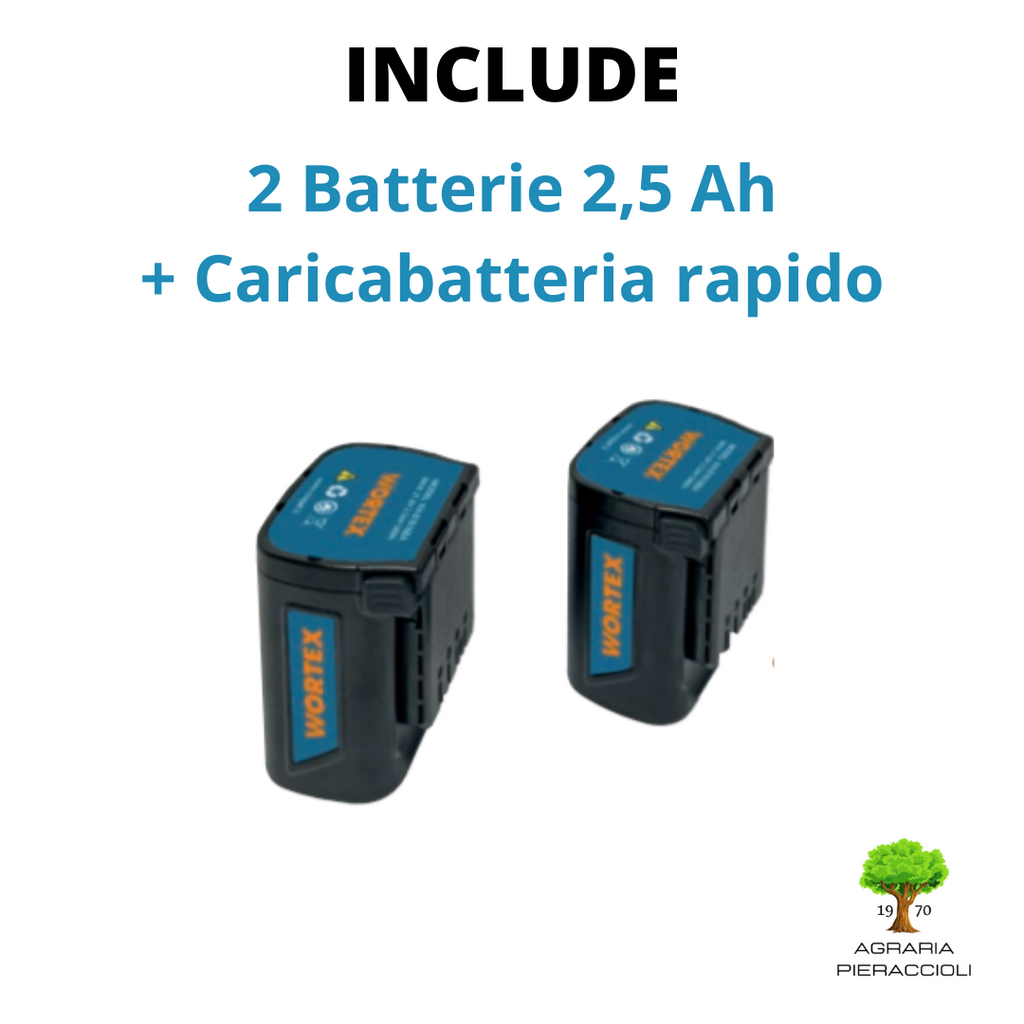 ELETTROSEGA/POTATORE A BATTERIA WORTEX SAW 100-M + 2 BATTERIE 2.5Ah e CARICATORE1