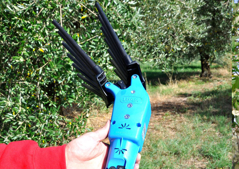 LISAM OLIVECO ABBACCHIATORE SBATTITORE CON ASTA TELESCOPICA 3,4m 12V + CAVO 15m3