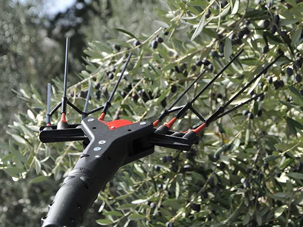 CASTELLARI VERTIGO L18V ABBACCHIATORE SBATTITORE 240-320cm SOLO CORPO MACCHINA8
