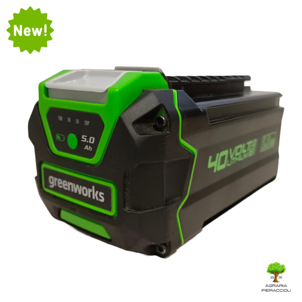 BATTERIA AL LITIO GREENWORKS ORIGINALE 40V 5Ah G40B5 - ULTIMA GENERAZIONE!0
