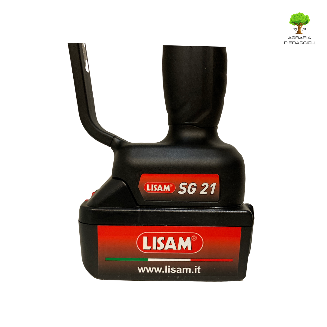 LISAM SG21  MOTOSEGA POTATORE SEGHETTO POTATURA  600W COMPLETA DI 2 BATTERIE 4Ah4