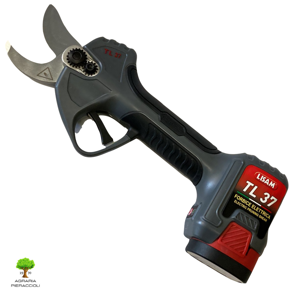 https://i.ebayimg.com/00/s/MTA4MFgxMDgw/z/1sIAAOSwyJNiVV4B/$_57.PNG