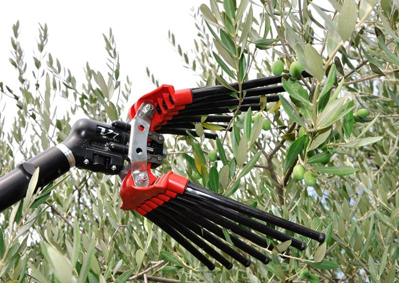 LISAM V8 TURBO SBATTITORE ABBACCHIATORE PETTINE PNEUMATICO OLIVE 800g3