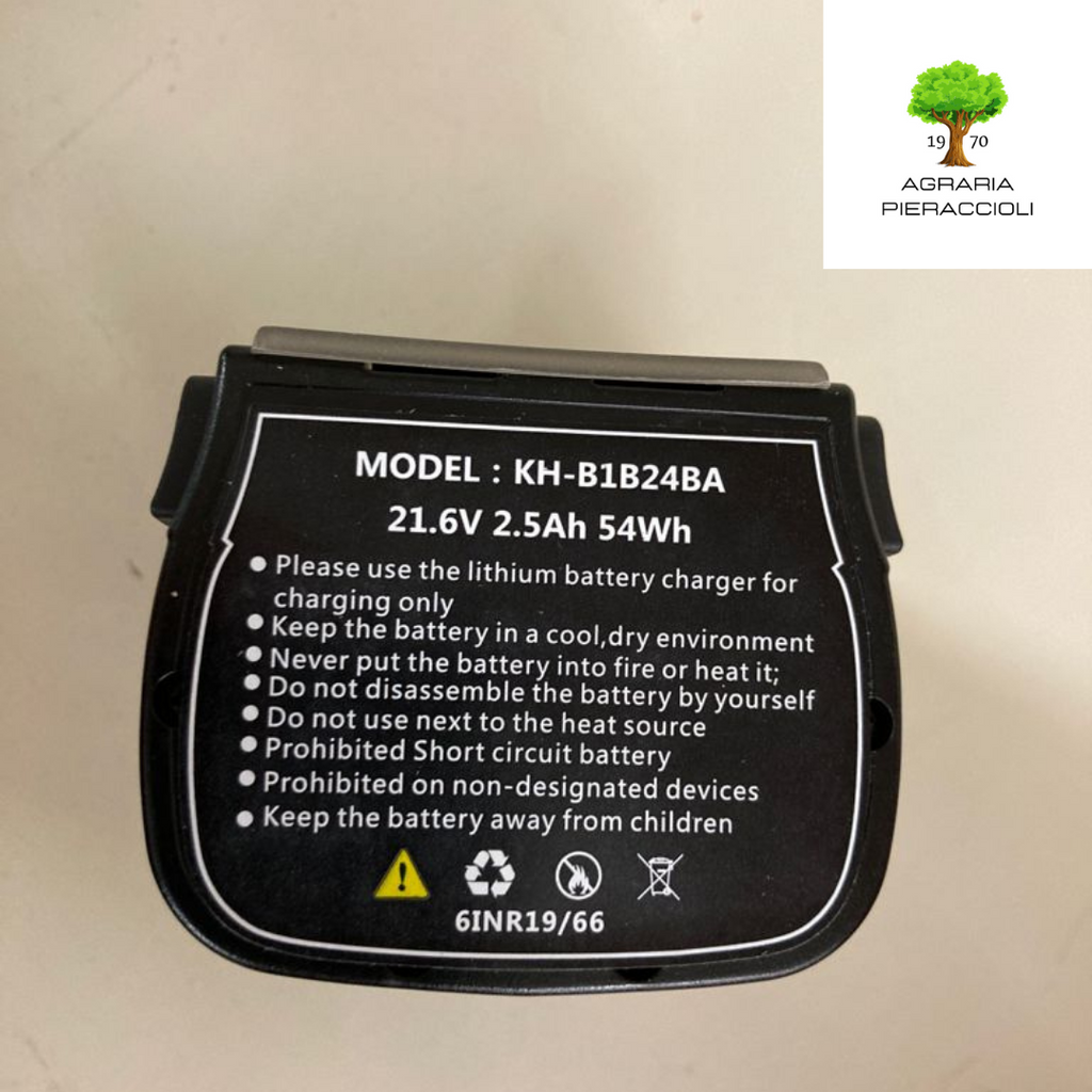 BATTERIA AL LITIO 21,6V COSPET WORTEX 2,5Ah 54Wh - PER SAW 100M RICAMBIO1