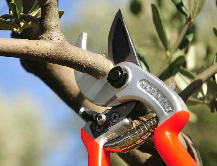 FORBICE DA POTATURA CASTELLARI IN ALLUMINIO TAGLIO 2,5cm ERGONOMIC PROFESSIONALE1