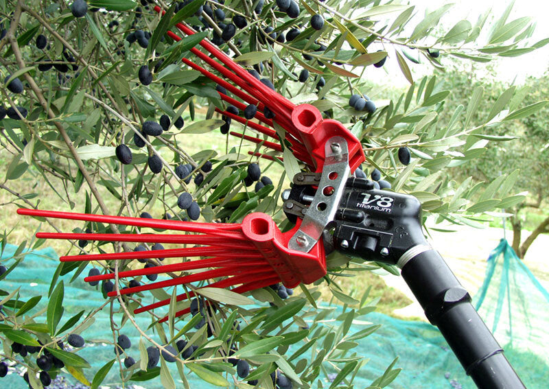 LISAM V8 TITANIUM SBATTITORE ABBACCHIATORE PETTINE PNEUMATICO OLIVE 2000 BATTITI3