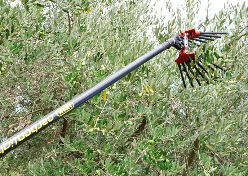 LISAM V8 TURBO SBATTITORE ABBACCHIATORE PETTINE PNEUMATICO OLIVE 800g2