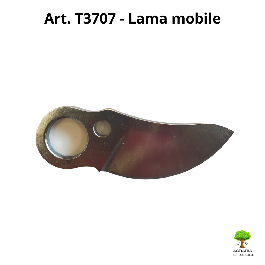 https://i.ebayimg.com/00/s/MTA4MFgxMDgw/z/V7IAAOSwZrliVWG0/$_57.PNG