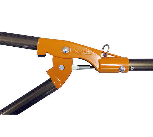 TRONCARAMI PROFESSIONALE 1m FUTOMARU N-153 - TAGLIO 40mm NISHIGAKI MADE IN JAPAN5