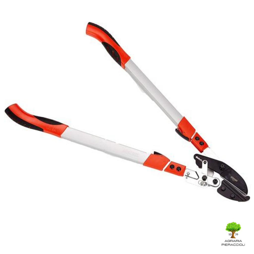 TRONCARAMI STOCKER 7242 A CRICCHETTO 75-100cm1