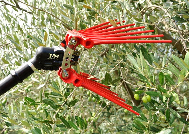 LISAM V8 TITANIUM SBATTITORE ABBACCHIATORE PETTINE PNEUMATICO OLIVE 2000 BATTITI2