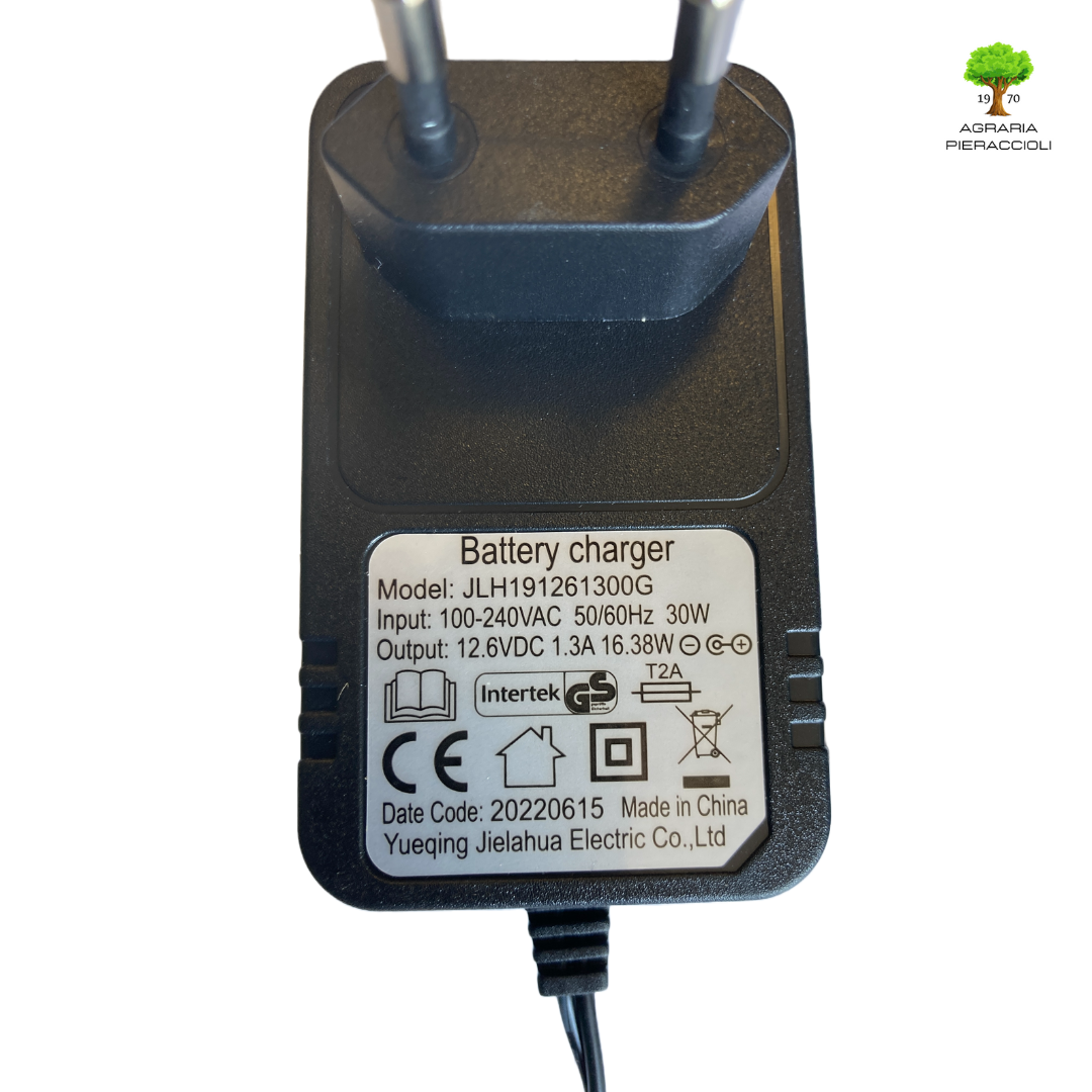 CARICABATTERIE PER TAGLIAERBA CON MOTORE LONCIN ST 170 LS 1P65FE AVV. ELETTRICO2