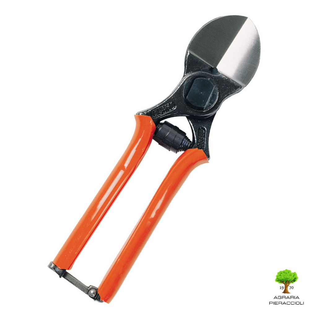 FORBICE POTATURA DOPPIO TAGLIO LISAM 3/A SPECIAL 9001 TAGLIO Ø21cm PROFESSIONAL0