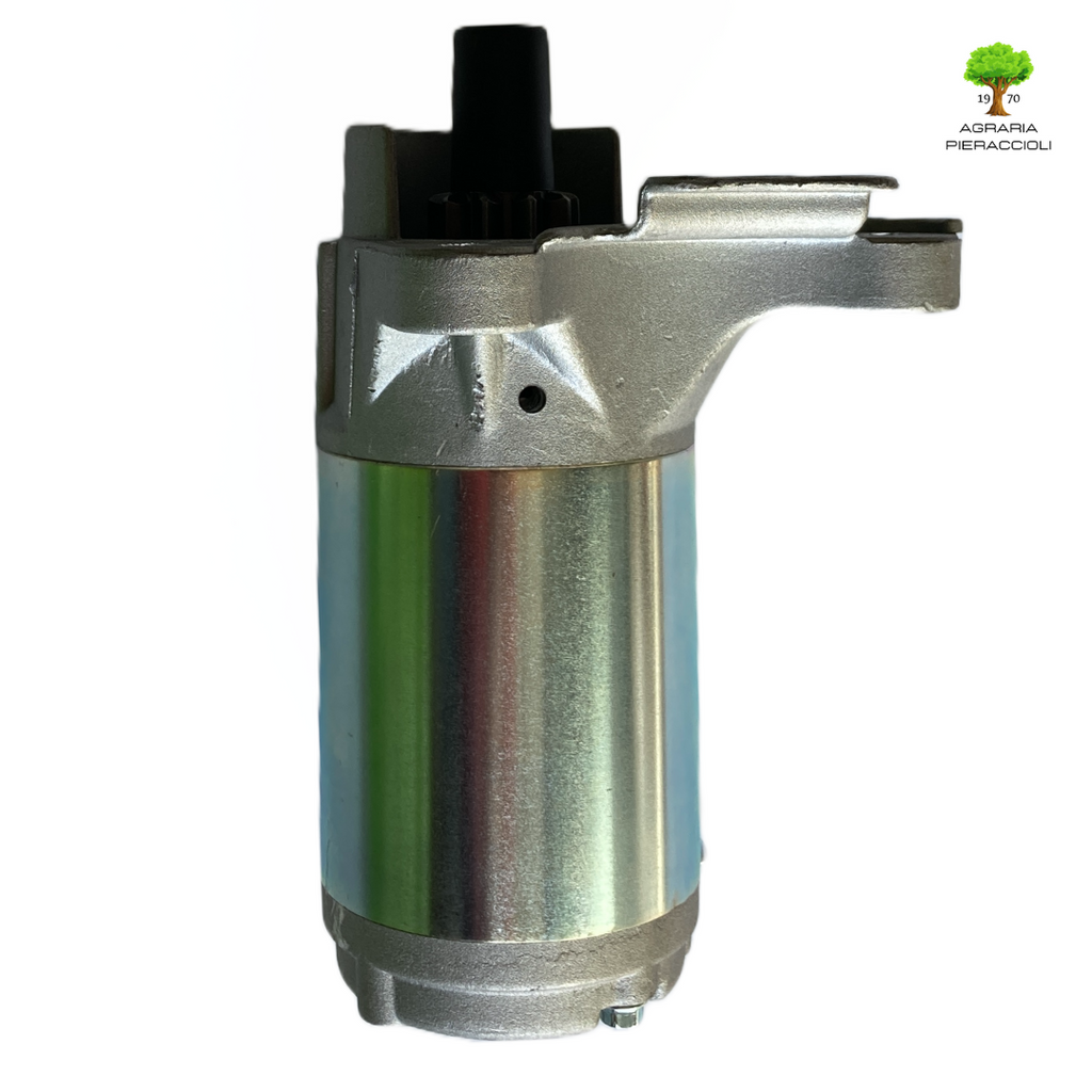 MOTORINO AVVIAMENTO ORIGINALE TRATTORINI  STIGA ALPINA CASTELGARDEN MOT. LONCIN4