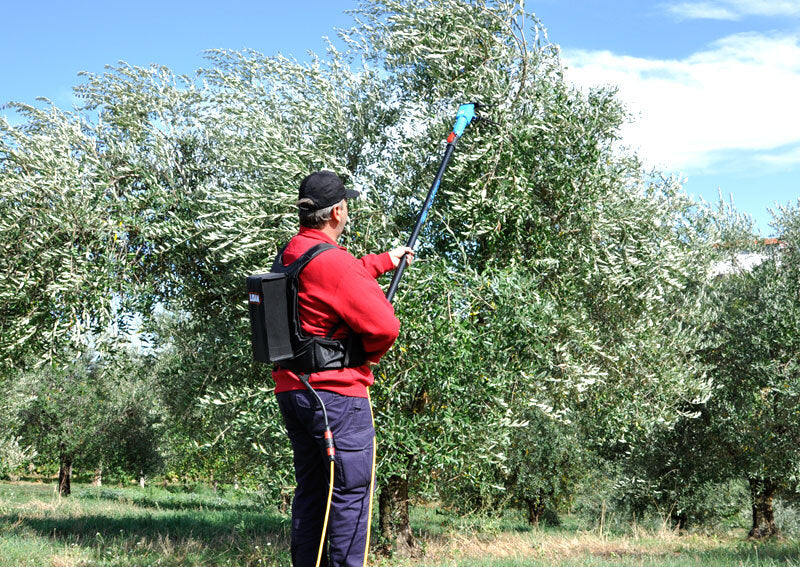 LISAM OLIVECO ABBACCHIATORE SBATTITORE CON ASTA TELESCOPICA 3,4m 12V + CAVO 15m6