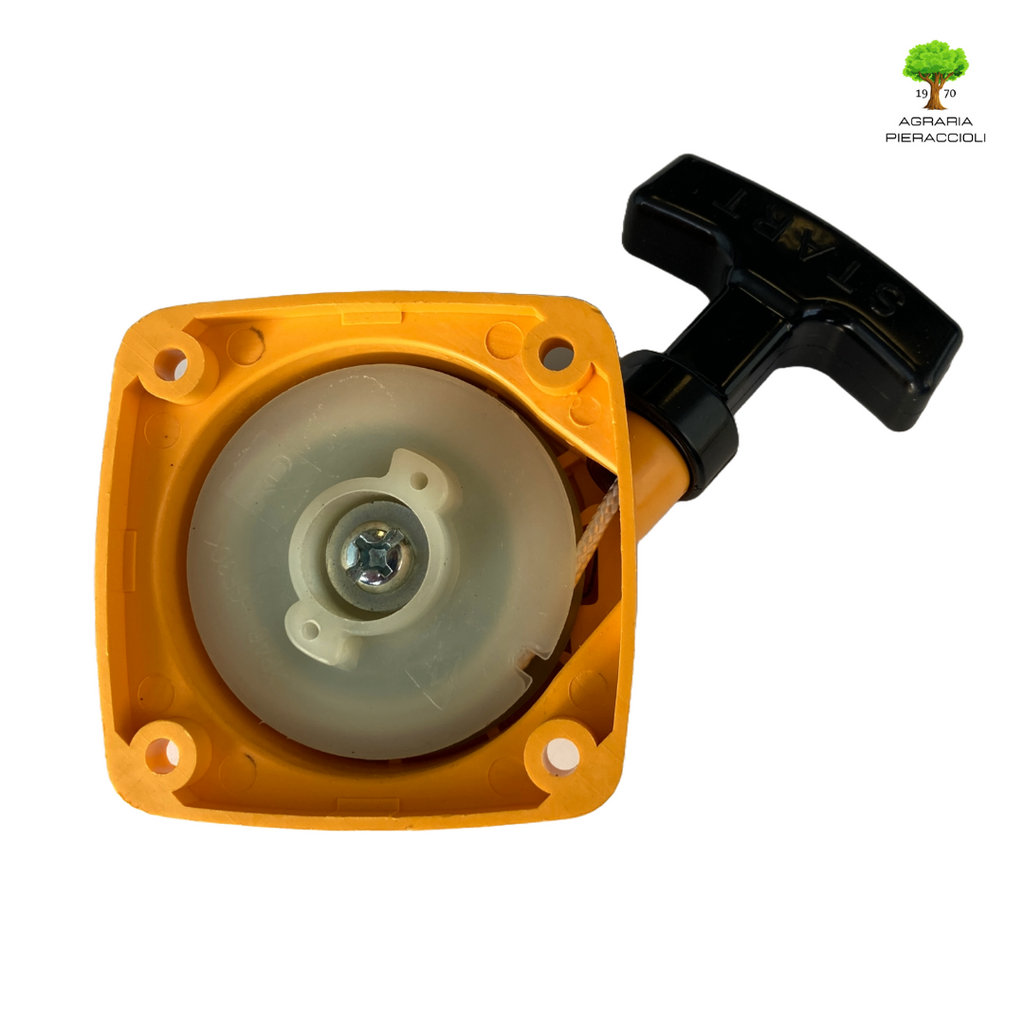 AVVIATORE COMPLETO DECESPUGLIATORE STIGA ALPINA CASTELGARDEN BS-TB-TR 250 XR 2500