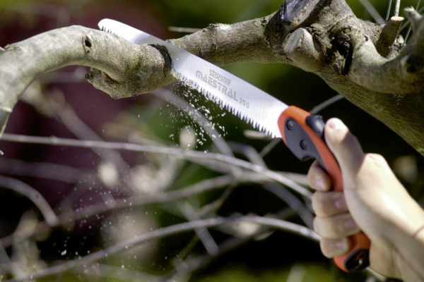 SEGHETTO DRITTO STOCKER MAESTRAL 300 SEGACCIO CON FONDINA POTATURA GIARDINAGGIO2