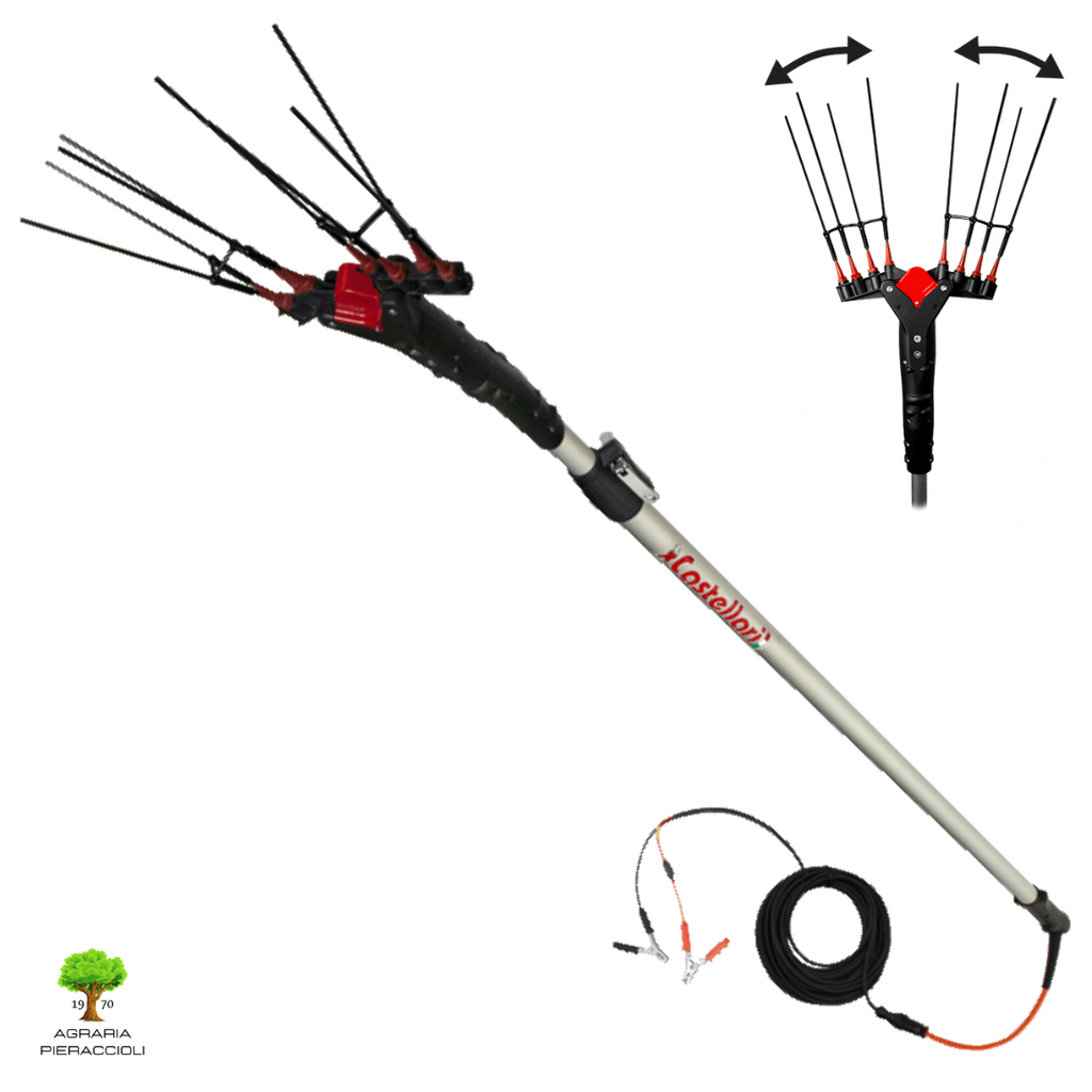 ABBACCHIATORE SBATTITORE ELETTRICO A BATTERIA CASTELLARI VERTIGO L 12V 240-320cm0