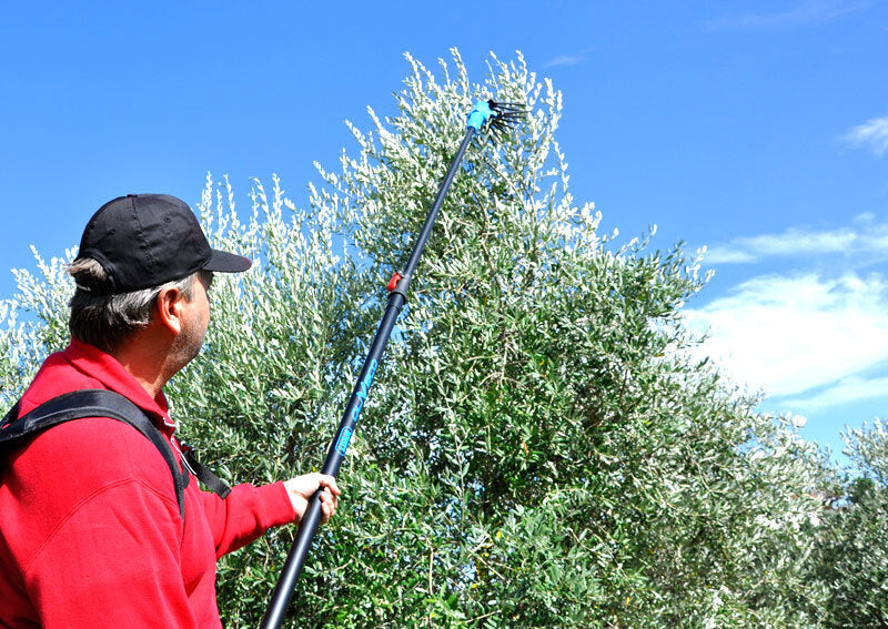LISAM OLIVECO ABBACCHIATORE SBATTITORE CON ASTA TELESCOPICA 3,4m 12V + CAVO 15m4