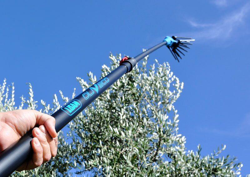 LISAM OLIVECO ABBACCHIATORE SBATTITORE CON ASTA TELESCOPICA 3,4m 12V + CAVO 15m5
