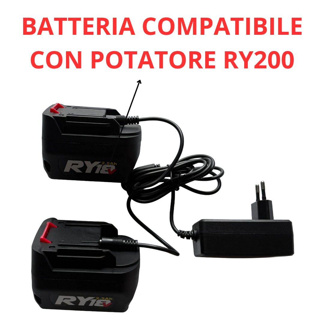 CASTELLARI FORBICE POTATURA RYNO 60 PROFESSIONALE + KIT 2 BATTERIE 2.5Ah 18V1