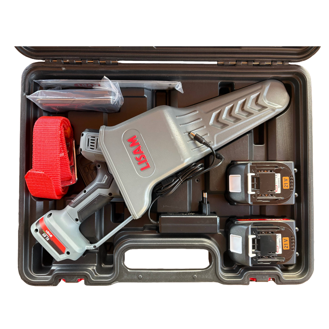 LISAM SG18  MOTOSEGA POTATORE SEGHETTO POTATURA  600W + 2 BATTERIE 4Ah2