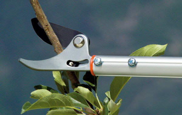 STOCKER 502 FORBICE DA POTATURA MANICO LUNGO ASTA FISSA 120cm TAGLIO BYPASS2