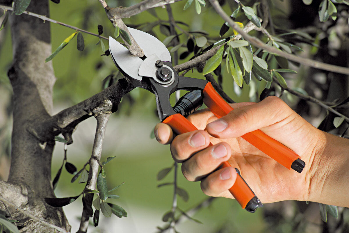 FORBICE DA POTATURA STOCKER 380 21cm DOPPIO TAGLIO PROFESSIONALE TAGLIO 22mm1