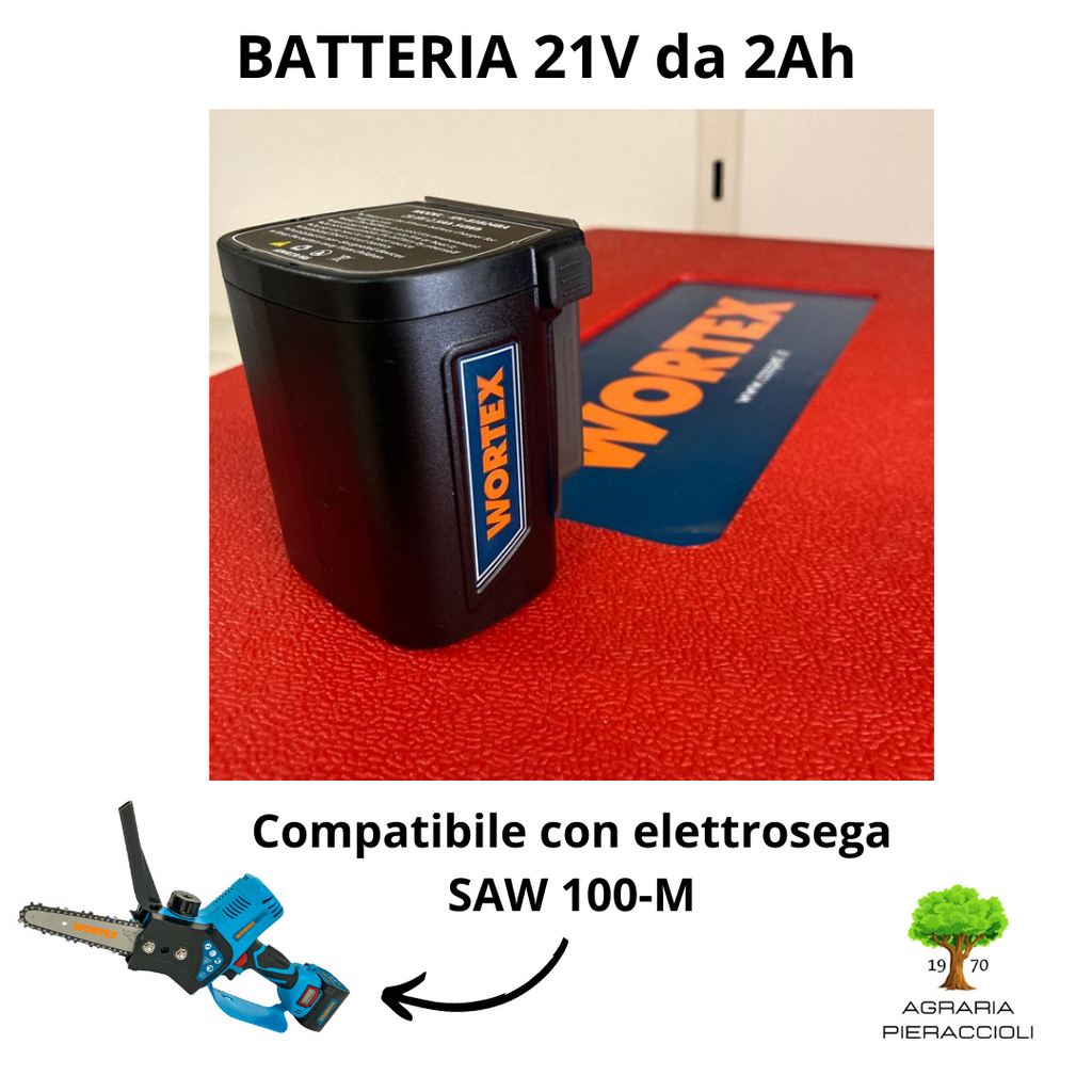 BATTERIA AL LITIO 21,6V COSPET WORTEX 2,5Ah 54Wh - PER SAW 100M RICAMBIO0