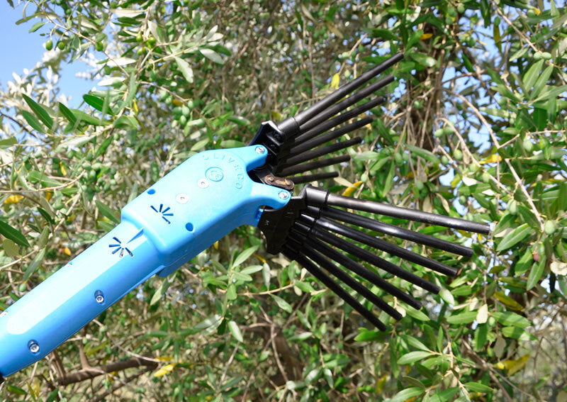 LISAM OLIVECO ABBACCHIATORE SBATTITORE CON ASTA TELESCOPICA 3,4m 12V + CAVO 15m2